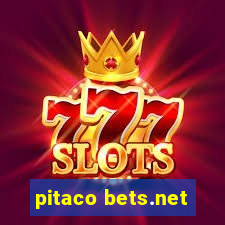 pitaco bets.net